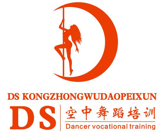 Yibin DS air dance yoga training